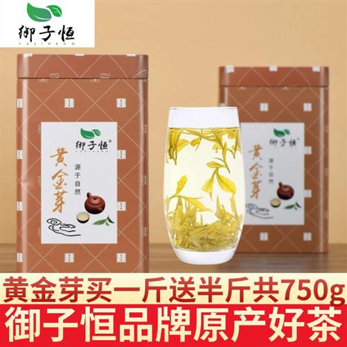 2025新茶高山绿茶御子恒罐装礼盒茶叶浓香金黄图片