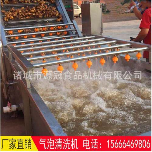 厂家供应扇贝清洗机鲜鱼气泡清洗线翻浪式海带脱盐机果蔬清洗机