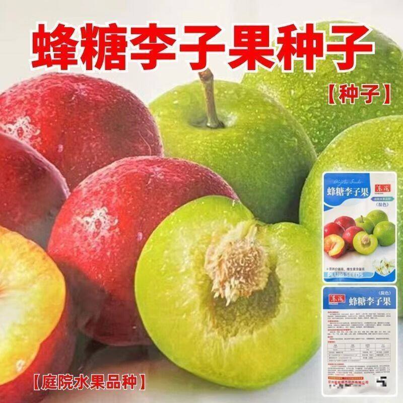 蜂糖李子果种子耐寒新品种混色大李子盆栽地栽南北方种植多年生