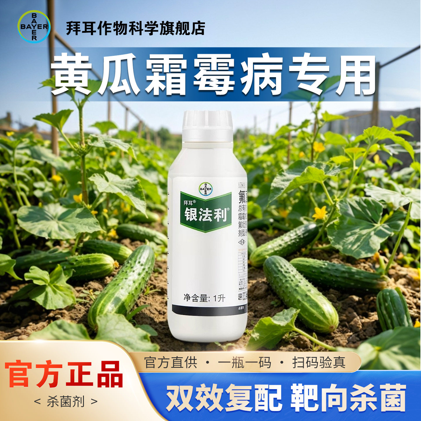 黄瓜霜霉病专用杀菌剂拜耳银法利