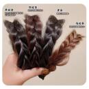 假发发箍女高颅顶发捆鱼骨辫一体头箍气质发卡头饰其它