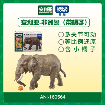 Ania多美安利亚野生动物非洲象