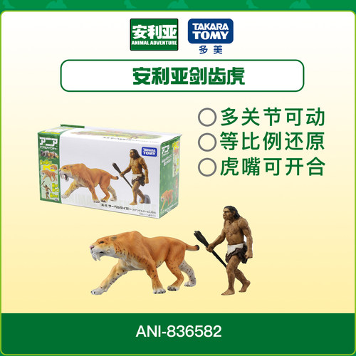 多美安利亚野生动物剑齿虎