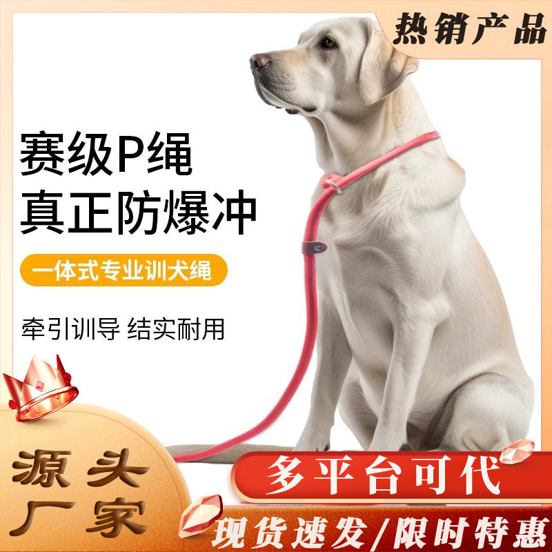 狗绳防爆冲链子小中大型犬外出遛