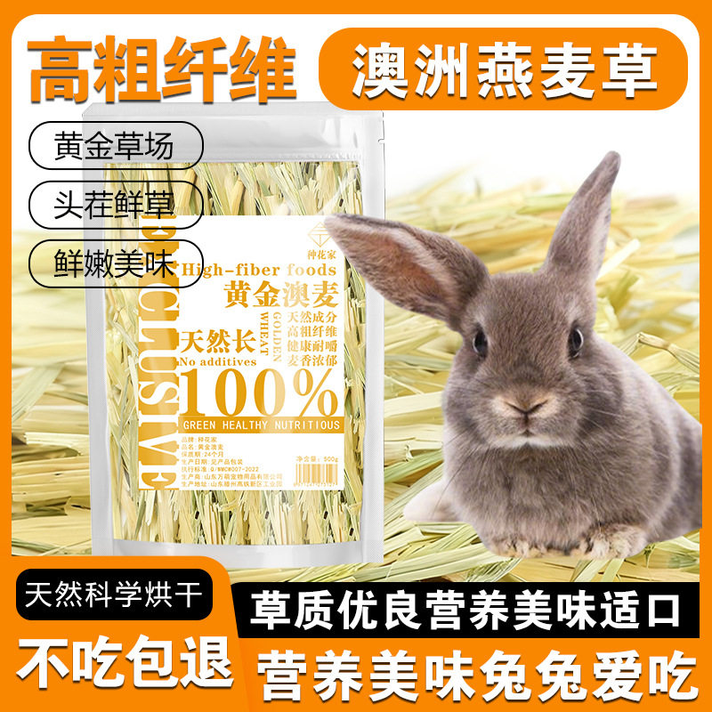 种花家鼠粮澳麦干草黄金麦杆进