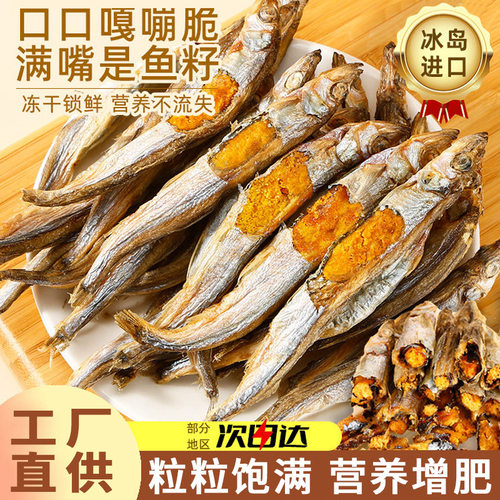 新款满籽猫咪营养增肥发腮补钙