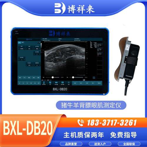 安格斯牛背膘眼肌测定仪清肌内脂肪检测B超机自动测量