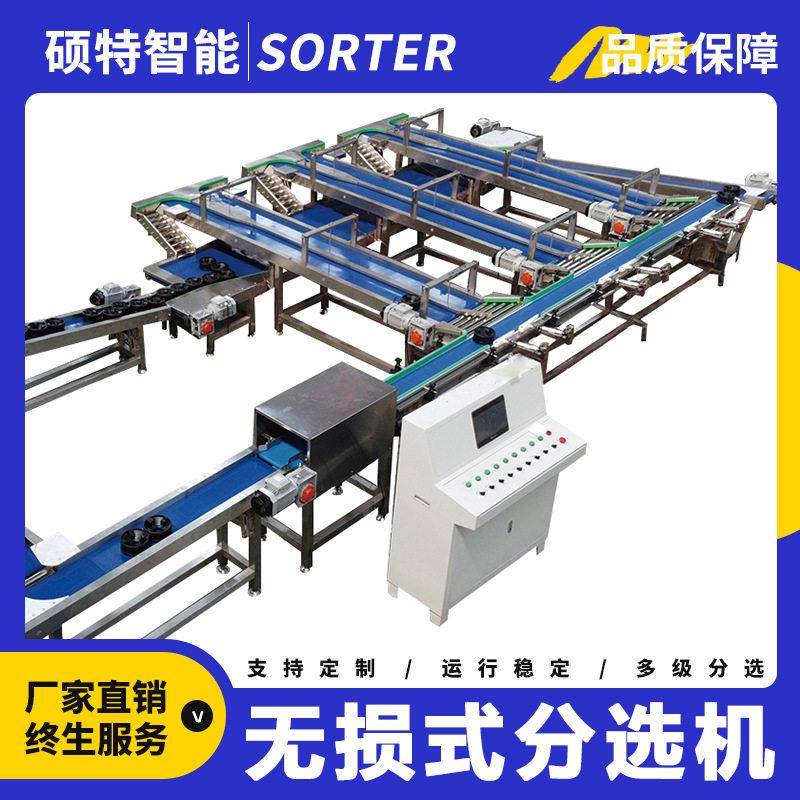 菠萝在线等级无损分选凤梨呵护式分级机可测糖视觉自动分拣