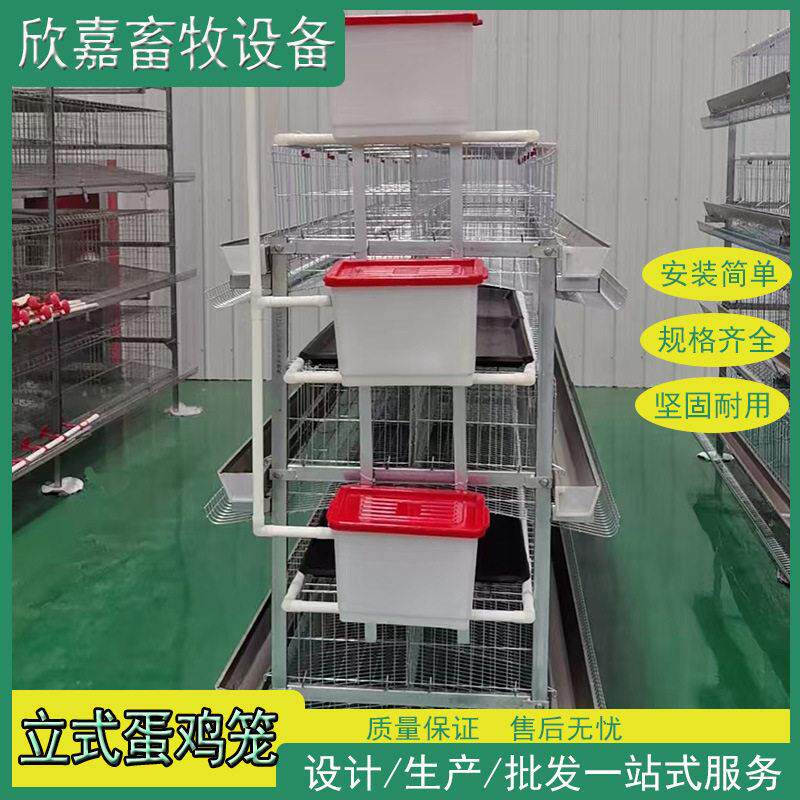 鸡笼三层四层四门五门蛋鸡笼养殖场H型立式手摇电动清粪带粪盘