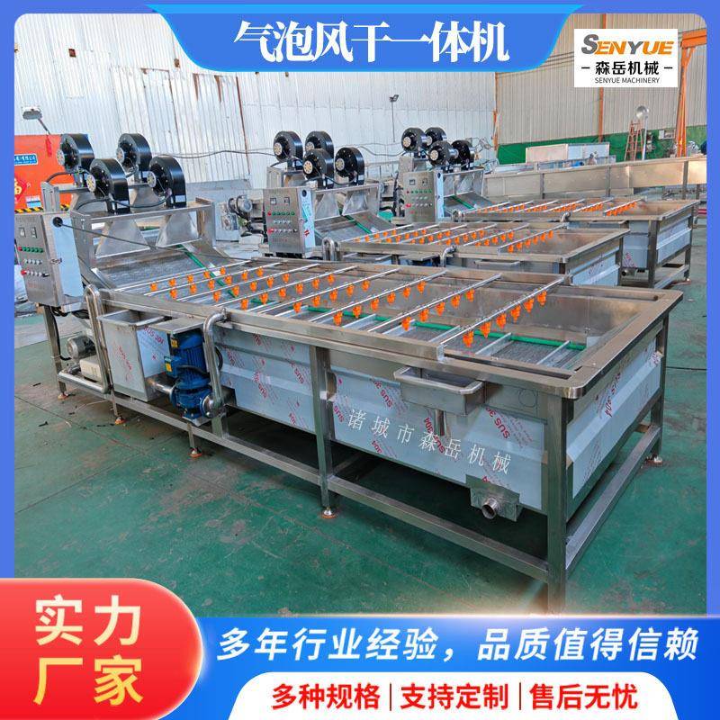 果蔬气泡清洗风干一体机304不锈钢水循环洗菜机出料强吹表面浮水