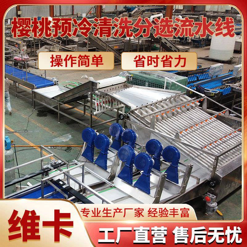 选果机价格大型商用樱桃分拣机15年源头厂家直销