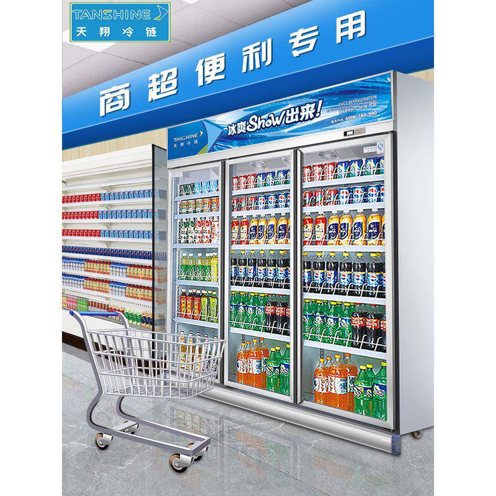 天翔保冷开链展示柜冷藏柜饮料冰柜啤酒水商天翔冷柜用双立式鲜柜