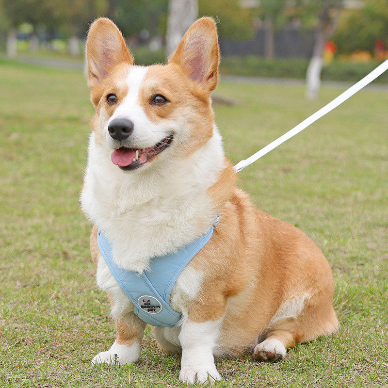背心式狗狗牵引绳中型犬柯基柴犬法斗胸背带泰迪小狗遛狗绳子jy