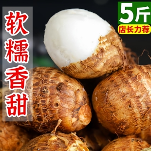 农家新鲜牛奶小毛芋头香糯软糯牛奶芋艿产地直发 下单立减50