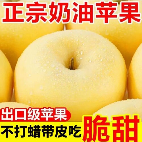 【下单立减50】烟台正宗黄金奶油富士苹果脆甜应季水果现摘现发