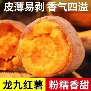 【下单立减50】软糯香甜红薯纯正农产品香甜黄心蜜薯糖心地瓜红薯