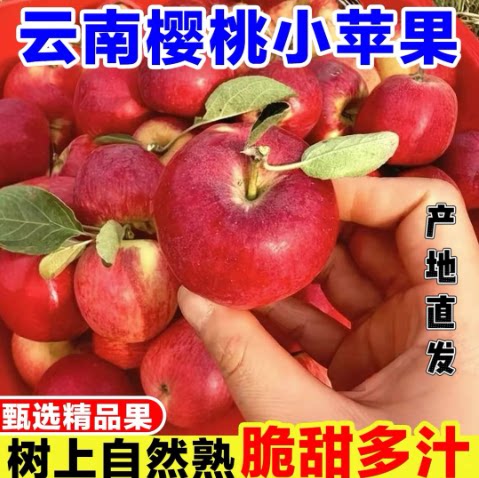 【下单立减50】正宗云南樱桃小苹果脆甜多汁应季新鲜水果