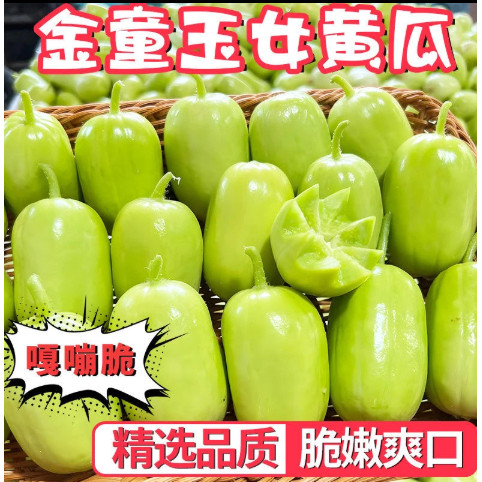 【下单立减50】五斤山东寿光金童玉女小黄瓜现摘现发拇指小黄瓜