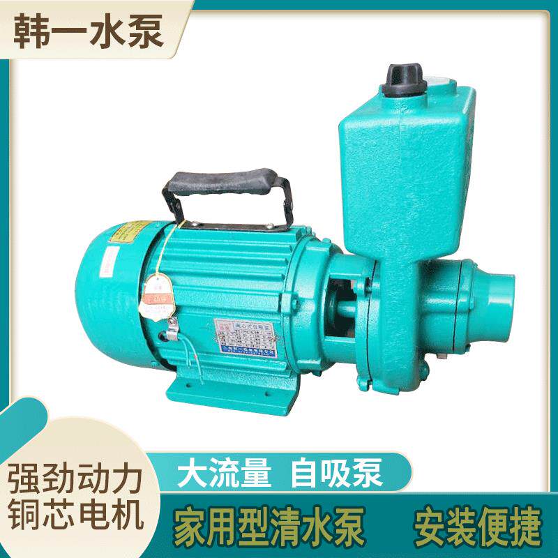 水泵家用自来水压泵污水自吸泵220v扬程水井抽水水塔电泵