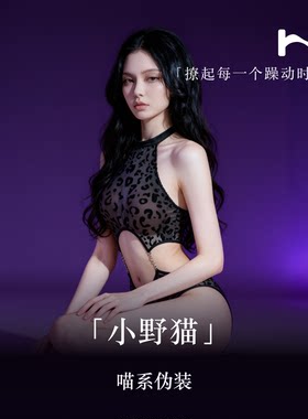 豹纹植绒网纱无钢圈文胸套装