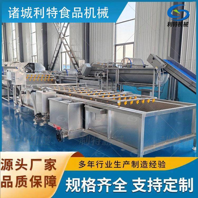 利特桑叶西梅干多功能清洗机瓜果蔬菜清洗设备压气泡清洗机