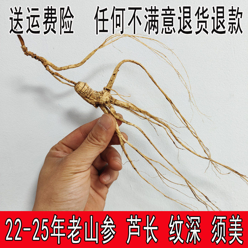 22-25年林下参长白山人参干参野生老参整枝野山参老山参泡酒煲汤