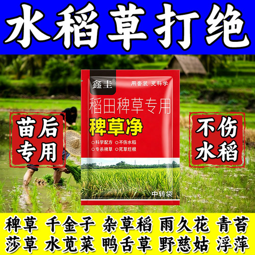直播移栽田通用，专治大小稗草