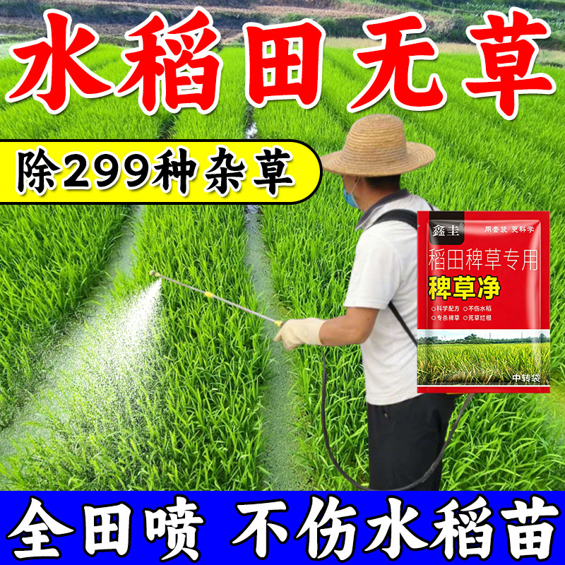 正品水稻苗后专用打草渗透剂稗草除千金子牛筋草水花生水稻不伤苗