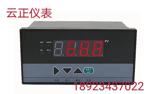 WP-C804-02-23-2H2L-P温显仪