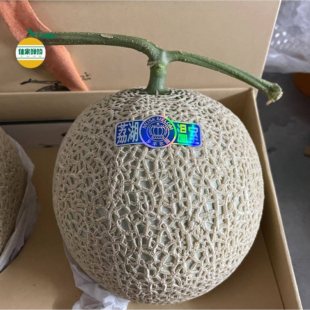 网纹蜜瓜礼盒装日本静冈品种梅陇啫喱哈密瓜牛3蜜瓜甜瓜顺丰包邮