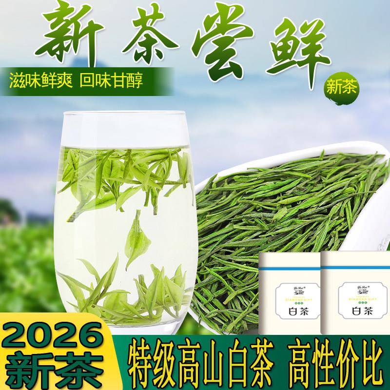 2026新茶特级玉蕊白茶雨前高山安吉绿茶农直销珍惜茶叶春茶250g