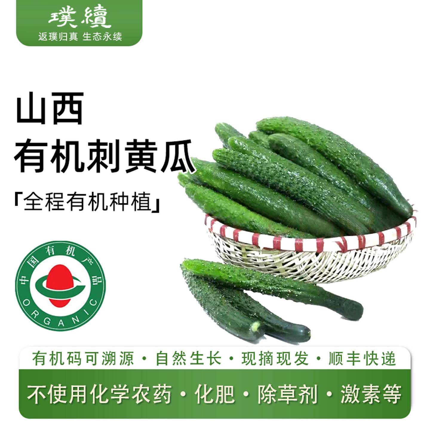 有机刺黄瓜水果黄瓜脆甜鲜嫩山西临猗新鲜现摘蔬菜未经化学侵染