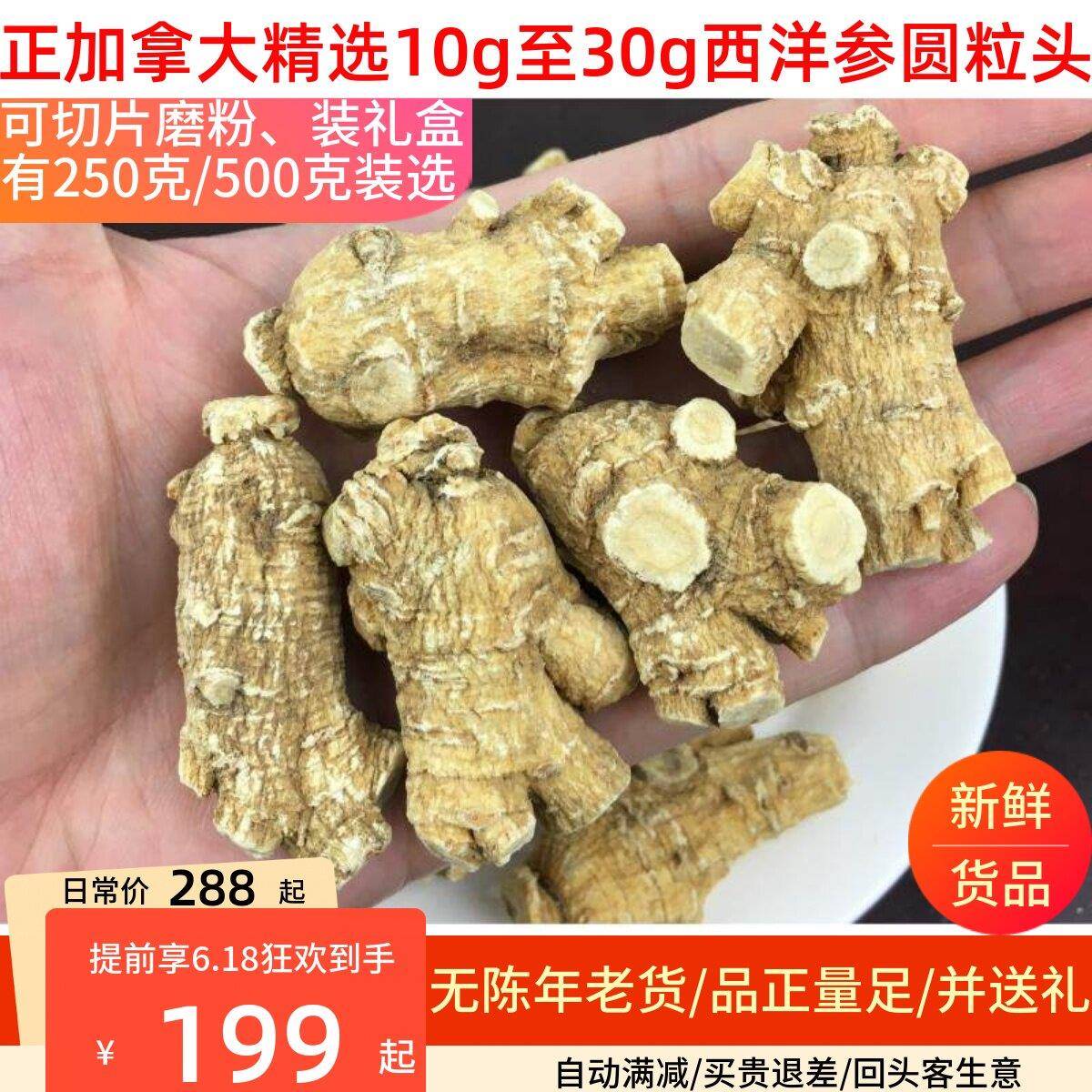 加拿大精选特级西洋参10g/20g/30g圆粒头半斤花旗切含片磨粉500克