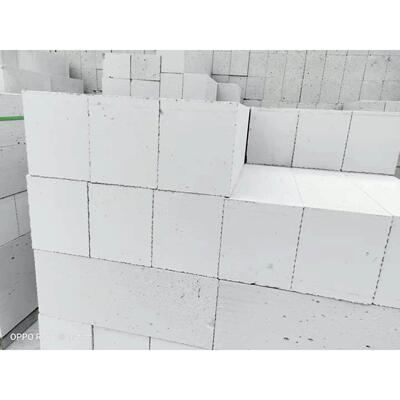 厂家直供京津冀建筑用混凝土实心水泥砖砌块蒸压加气砖定制