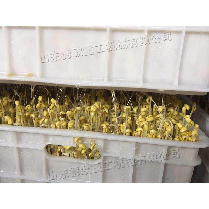农用芽苗菜成型 豆机芽芽苗菜催芽机 农贸市场豆育黄豆924芽苗培