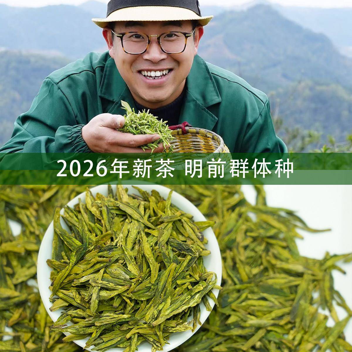 吃茶瞭老铁 2026年原产地群体种明前龙井茶 高豆香嫩花香滋味饱满