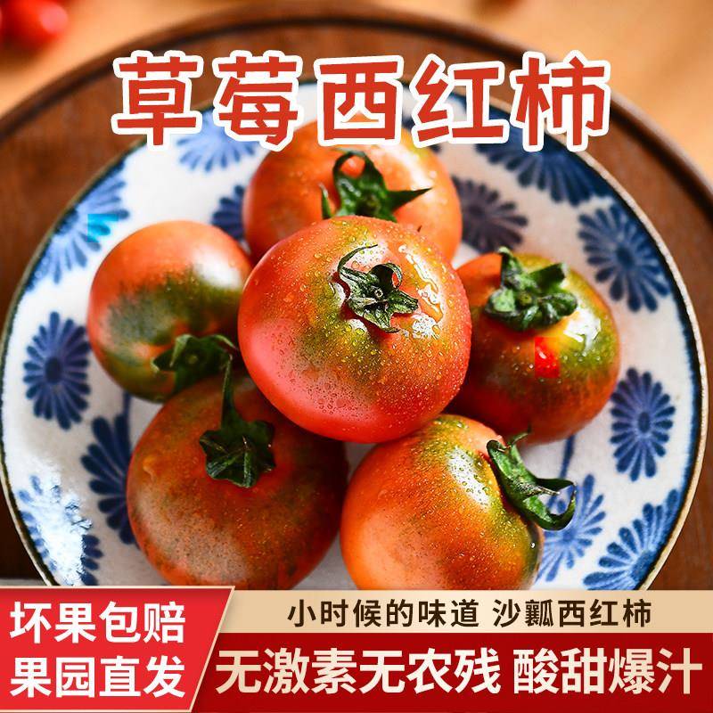 草莓番茄生吃铁皮柿子孕妇水果番茄非基因改造山东自然熟 蜂果家