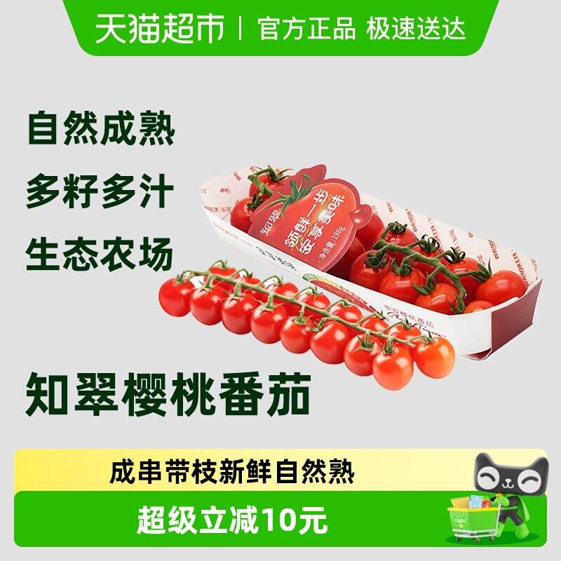 【知翠】串收樱桃小番茄自然熟生吃小西红柿新鲜水果现摘小柿子