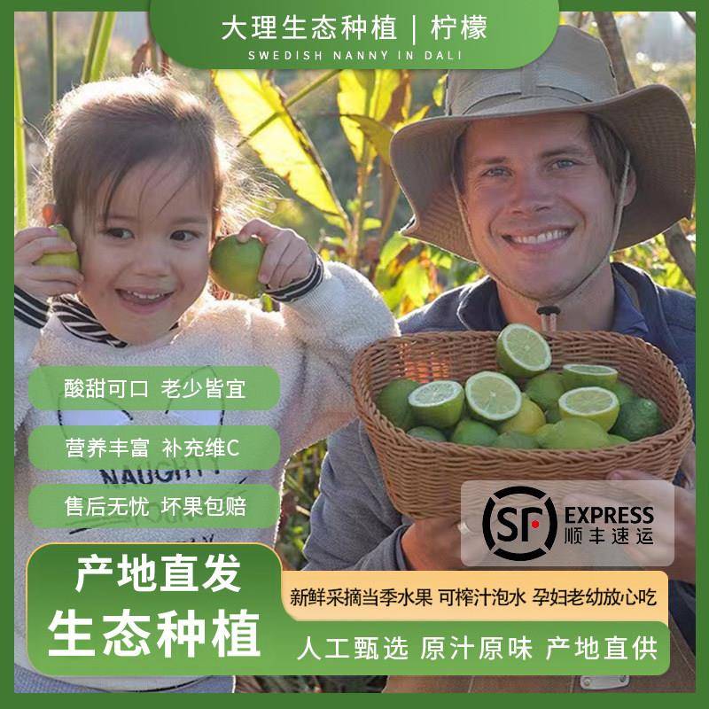 云南生态青柠檬鲜果树上自然熟不喷药当季水果榨汁泡水现摘维生素