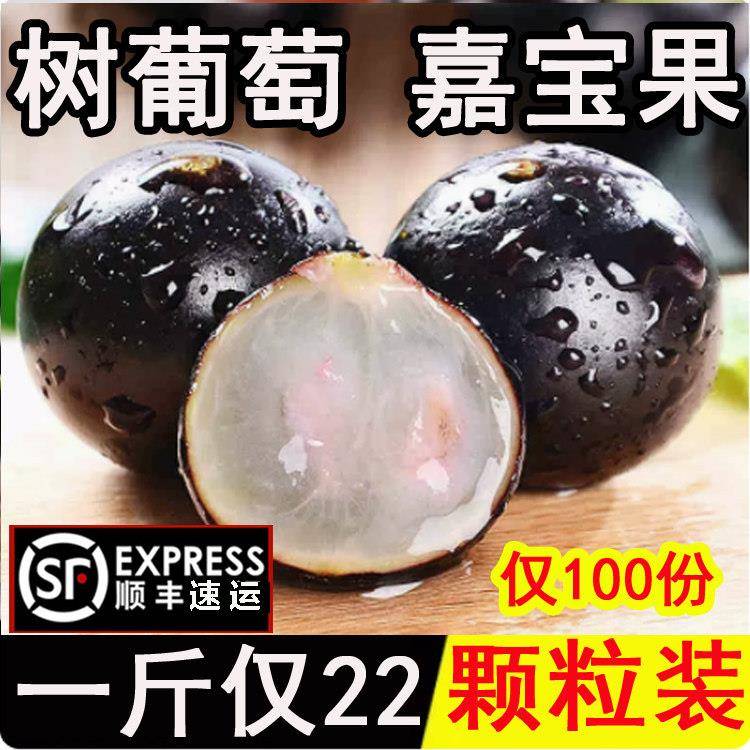 沙巴嘉宝果鲜果树葡萄新鲜水果罕见稀奇高端应季孕妇水果现摘现发图片