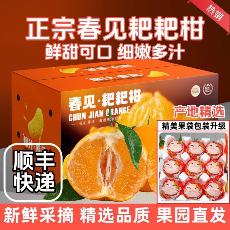四川春见耙耙柑10斤新鲜水果粑粑柑正宗当季丑桔子现摘杷杷柑顺丰