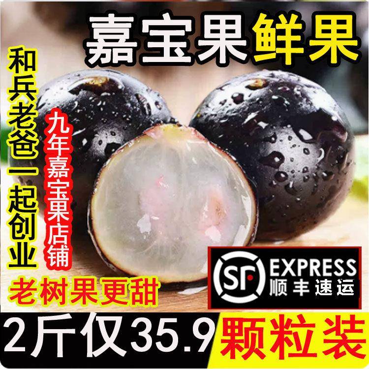 老树大果沙巴嘉宝果鲜果树葡萄新鲜水果稀有应季孕妇水果可泡酒图片