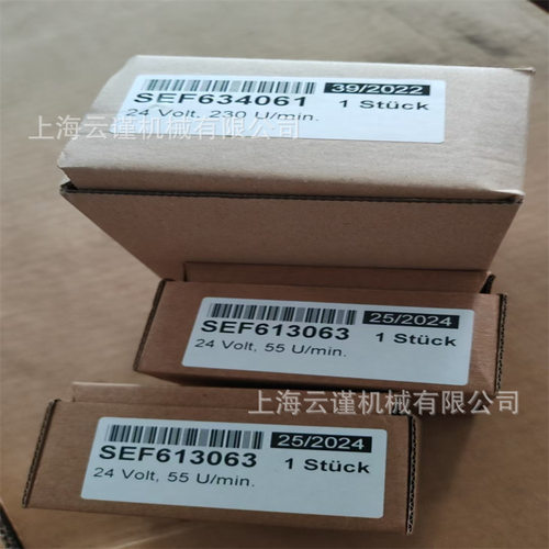 瑞德RIDE DC MOTOR直流电机 636.066 微型马达GMR59-31-Z2 铸铁