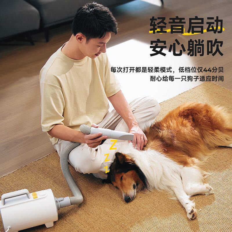 艾主人宠物吹水机速干轻音负离子狗狗家用吹干新品非吊臂式猫图片