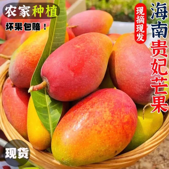 【下单立减50】【放软食用】正宗海南贵妃芒新鲜热带水果甜心芒香