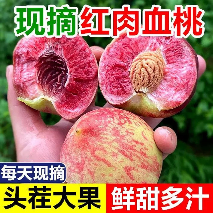 【下单立减50】正宗贵州百花桃新鲜采摘应季老树猪血桃清甜脆口