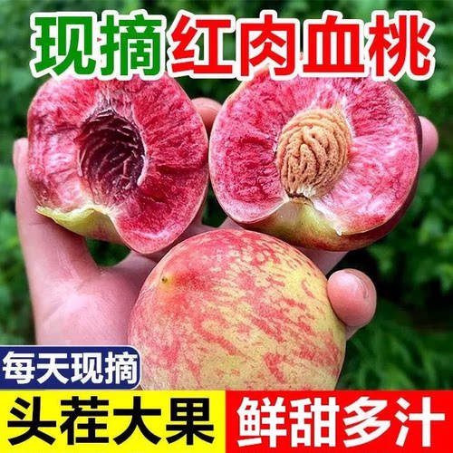 【下单立减50】正宗贵州百花桃新鲜采摘应季老树猪血桃清甜脆口