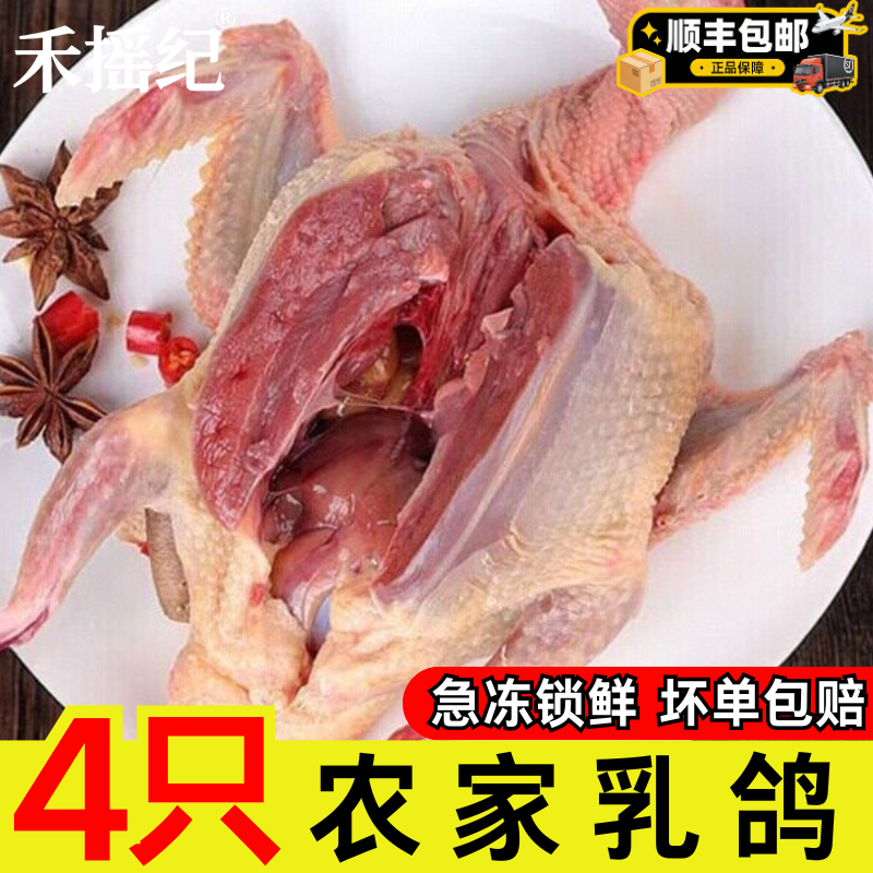 农家散养鲜杀现鸽子7-8两