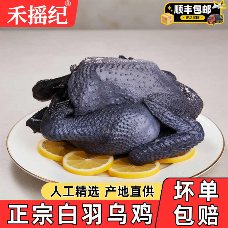 新鲜走地白凤乌骨鸡整只整箱