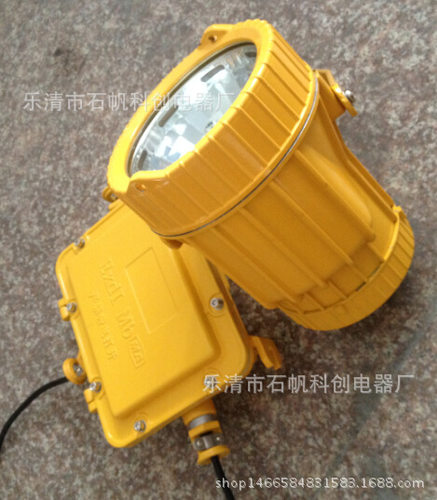 BTC8200防爆投光灯 西塔照明